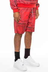Print Shorts