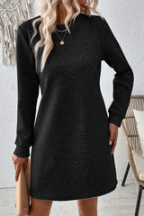 Long Sleeve Mini Dress