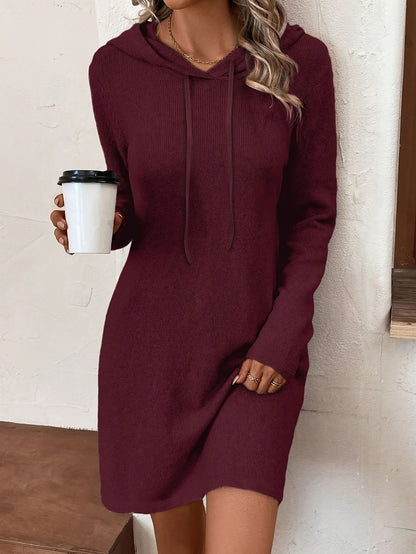Long Sleeve Knit Hooded Dress